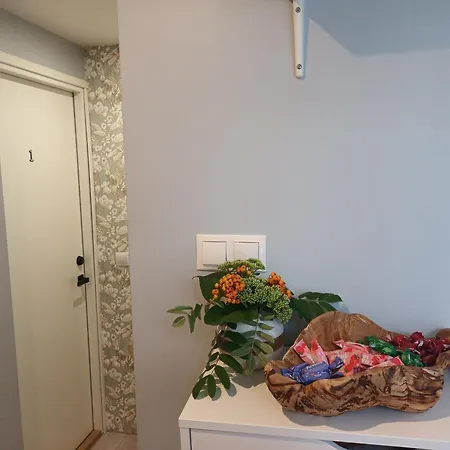 Homestay Liisu Kulalistemaja *