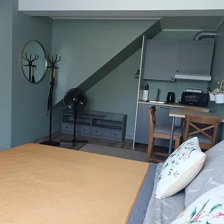 Homestay Liisu Kulalistemaja Haapsalu