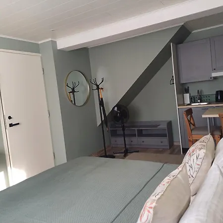 Homestay Liisu Kulalistemaja Haapsalu