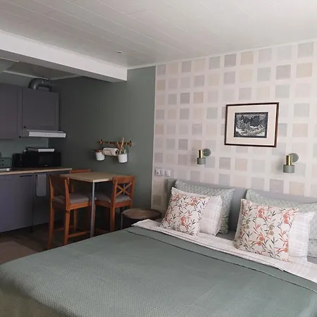 Liisu Kulalistemaja Homestay *